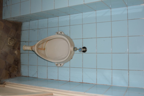 DSC 1936
