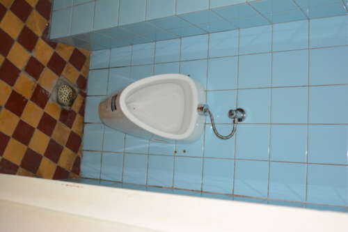 DSC 2203