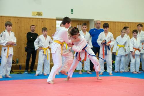 DSC 2015